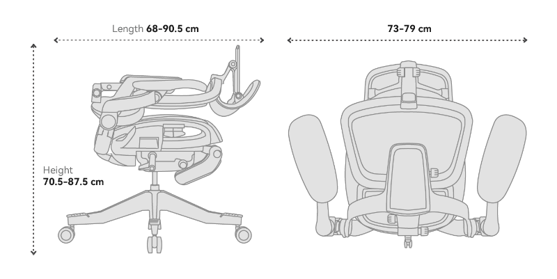 Hinomi H2 Pro Ergonomic Office Chair with Optional Footrest
