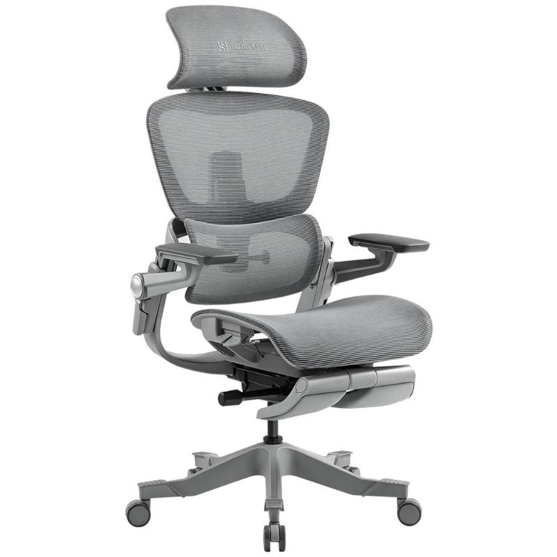 Hinomi H1 Pro V2 Ergonomic Office Chair