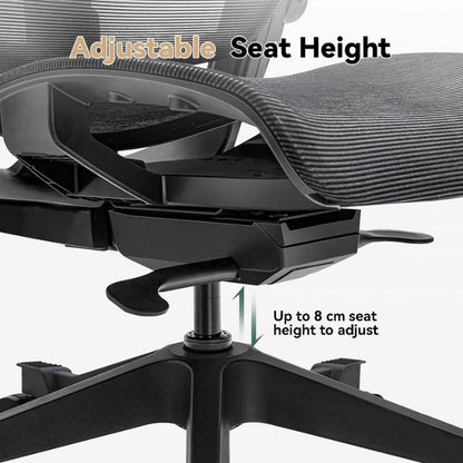 Hinomi H1 Classic V3 Ergonomic Office Chair