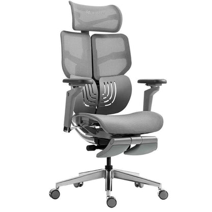 Hinomi X1 Ergonomic Chair, Robust Design, Supreme Comfort