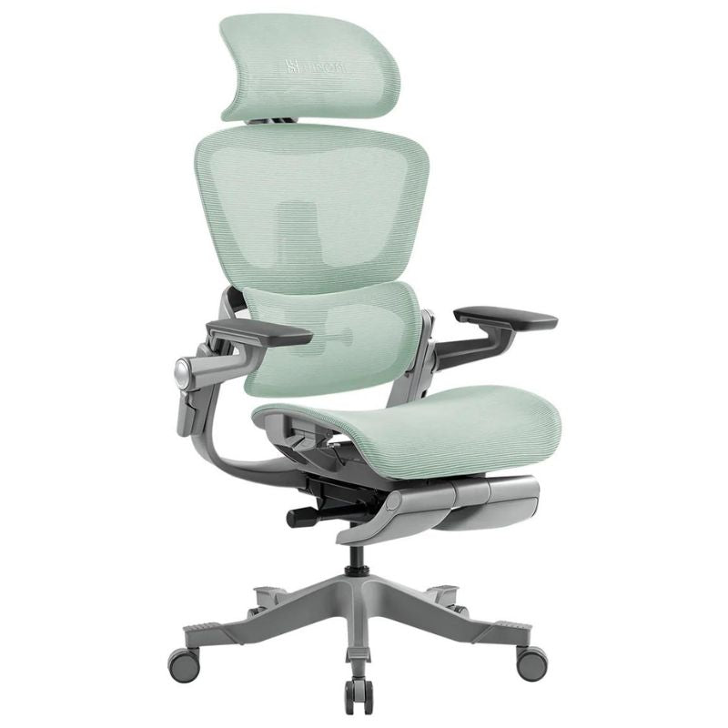 Hinomi H1 Pro V2 Ergonomic Office Chair