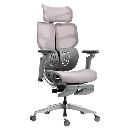 Hinomi X1 Ergonomic Chair, Robust Design, Supreme Comfort