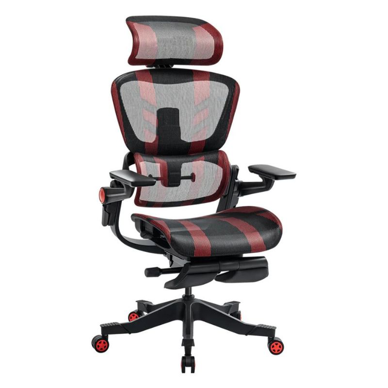 Hinomi H1 Pro V2 Ergonomic Office Chair