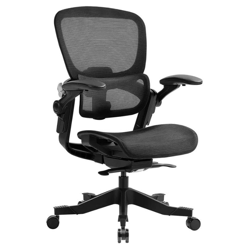 Hinomi H1 Classic V3 Ergonomic Office Chair