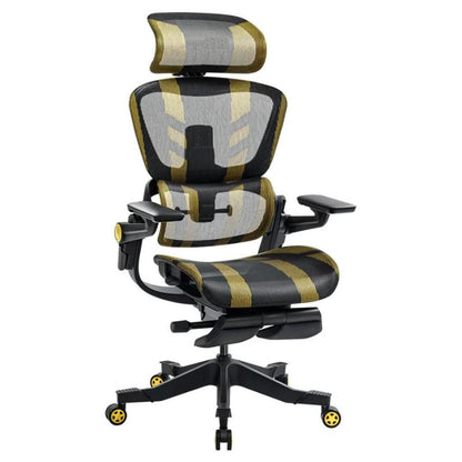 Hinomi H1 Pro V2 Ergonomic Gaming Chair