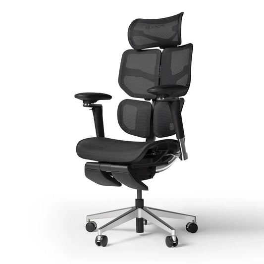 Hinomi X2 Pro Ergonomic Office Chair