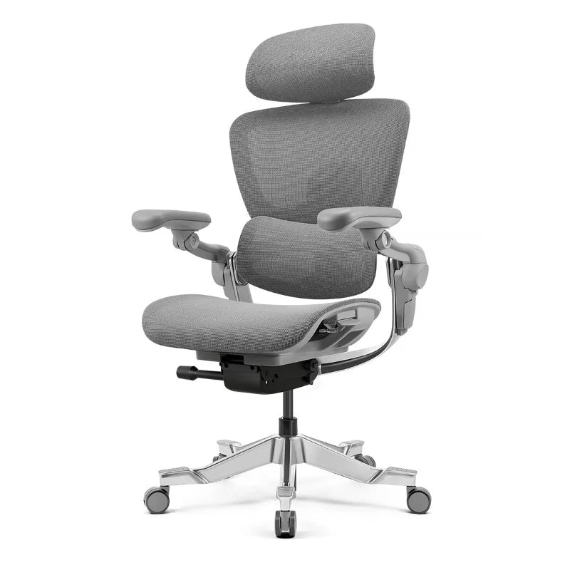 Hinomi H2 Pro Ergonomic Office Chair with Optional Footrest