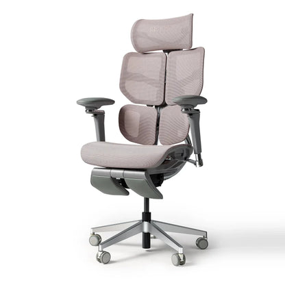 Hinomi X2 Pro Ergonomic Office Chair